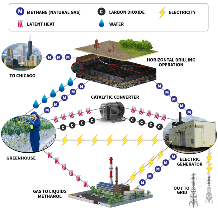 Quad Energy Diagram